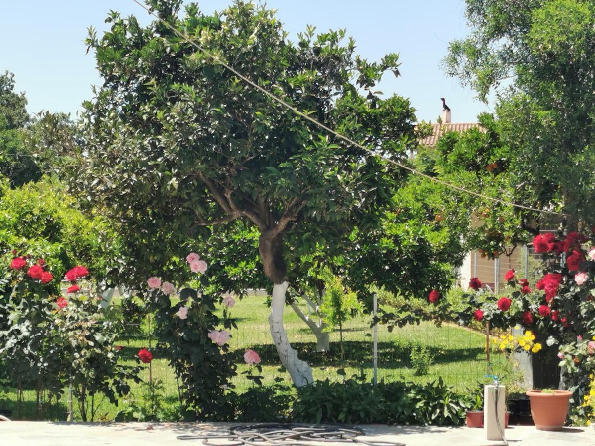 Kardiakafti Village Gastuni Eksteriør billede